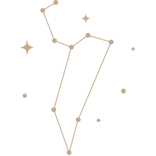 zdc 05.png