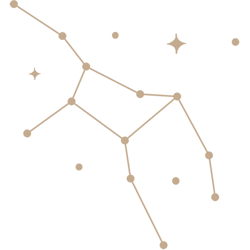 zdc 06.png