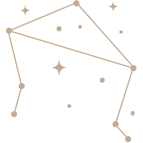 zdc 07.png