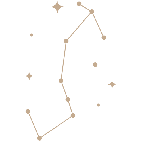 zdc 08.png